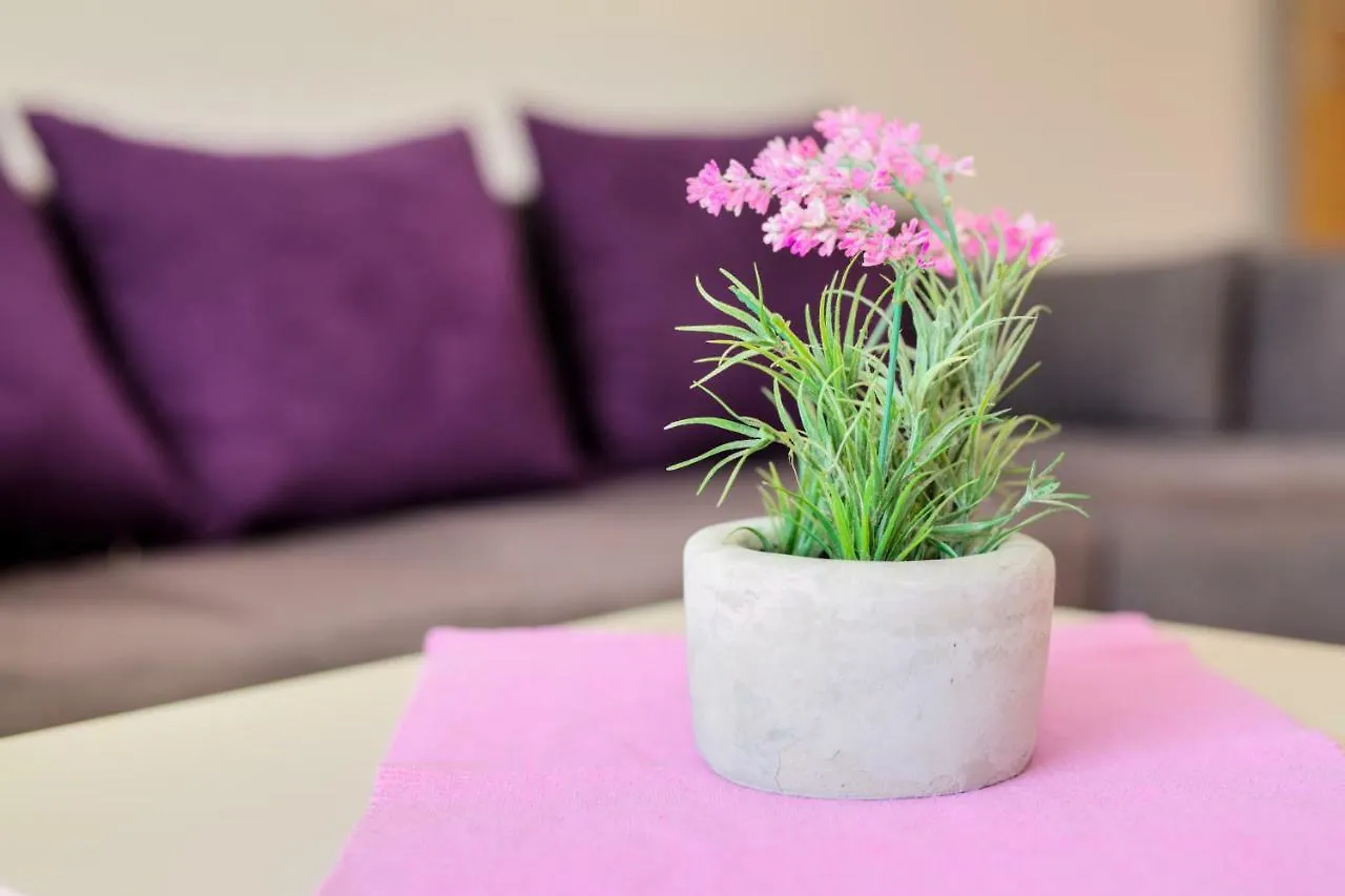 Apartmani Krizan Pula Chorvatsko